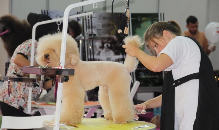 EVCİL HAYVAN SEKTÖRÜNÜN BULUŞMA NOKTASI