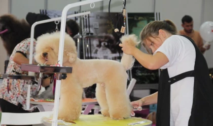 EVCİL HAYVAN SEKTÖRÜNÜN BULUŞMA NOKTASI